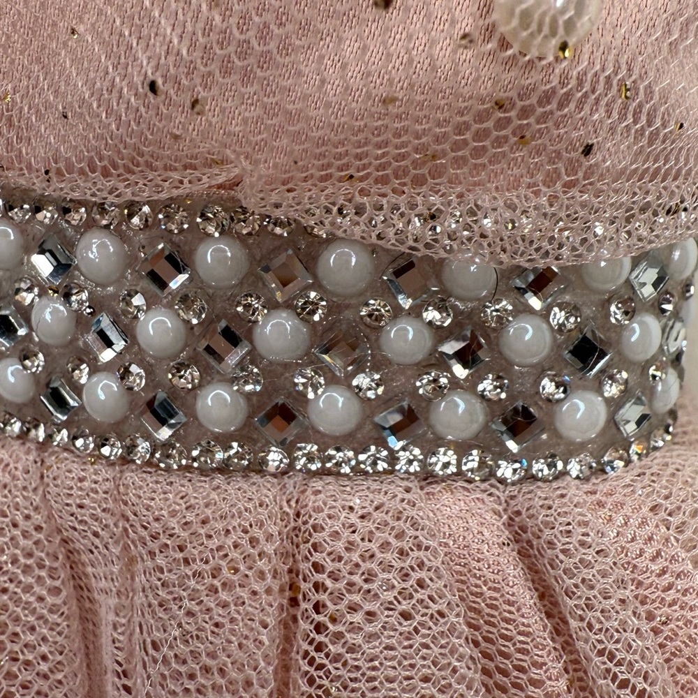 HARLOW & ROSE TULLE MAXI DRESS - Picture 10 of 13